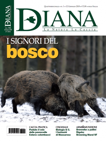 In Edicola Diana 1-2018