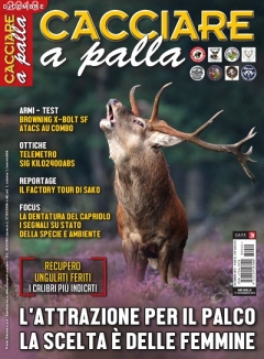 CACCIARE A PALLA  Dicembre 2018