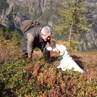 Comandi base dell&#039;addestramento del cane da ferma