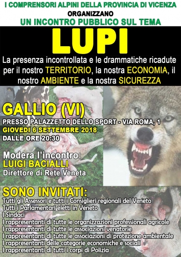 Veneto: Giovedì a Gallio (VI) si parlerà del problema lupo