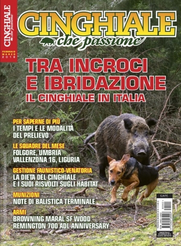 Cinghiale che Passione