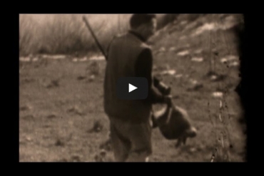 Cacciando: caccia alla coturnice 1960