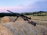 LA CARABINA BERGARA modello B14 Hunting and Match Rifle