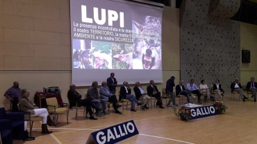 LUPO - AFFOLLATA ASSEMBLEA PUBBLICA A GALLIO (VI) LO SCORSO 6 SETTEMBRE 2018
