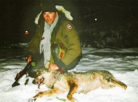 Il lupo: tecniche di caccia, armi e calibri