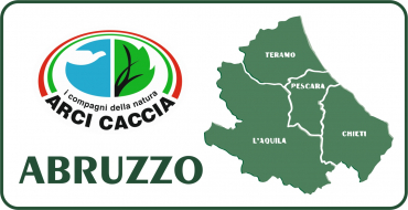 Arci Caccia Abruzzo: la Regione apre addestramento cani e selezione. Quando vedremo Calendario e Piano Faunistico Venatorio?