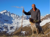 Il Cane da Montagna visto da... Giacomo Giorgi