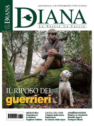 In Edicola Diana 24-2017