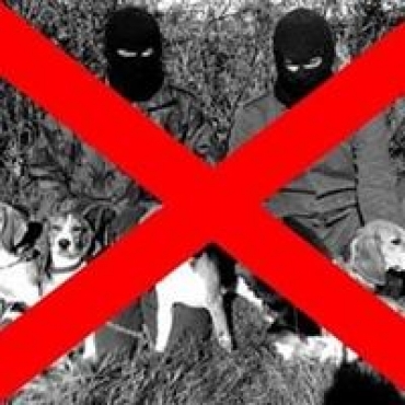 Violenze animaliste: FederFauna dice basta!