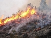 In Sardegna i cacciatori contro gli incendi