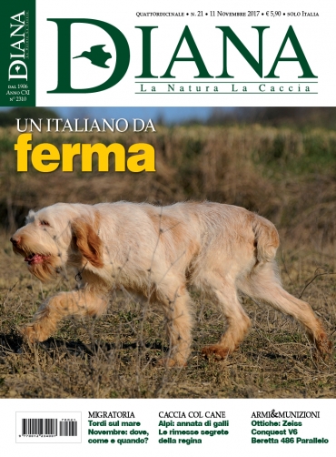 In Edicola Diana 21-2017