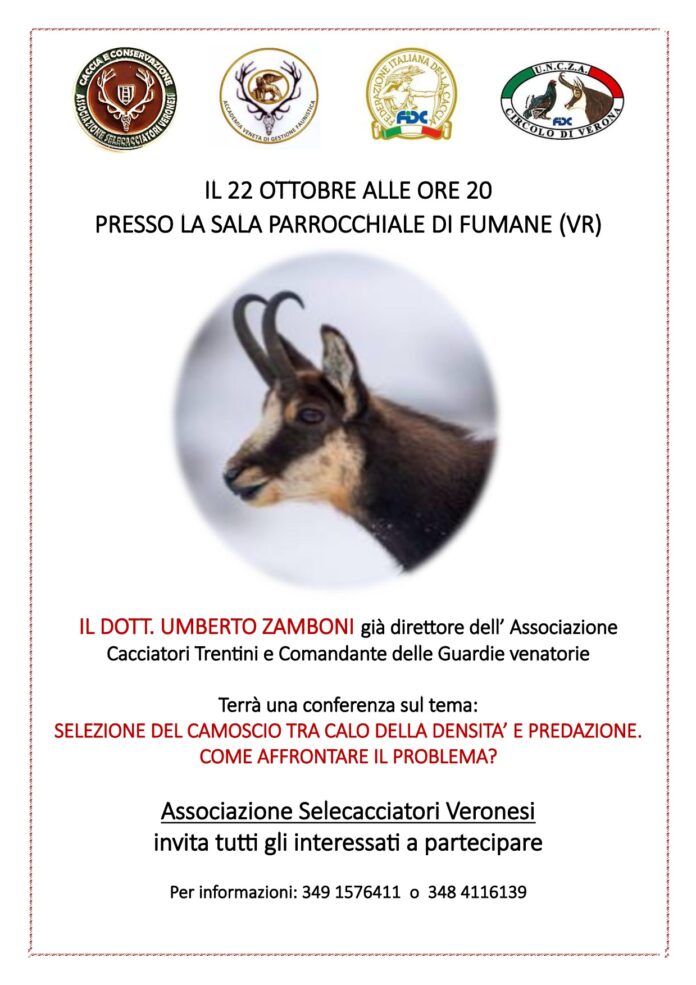 Conferenza sul camocio 696x985