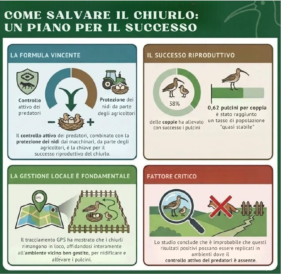 Immagine 2025 12 02 102710