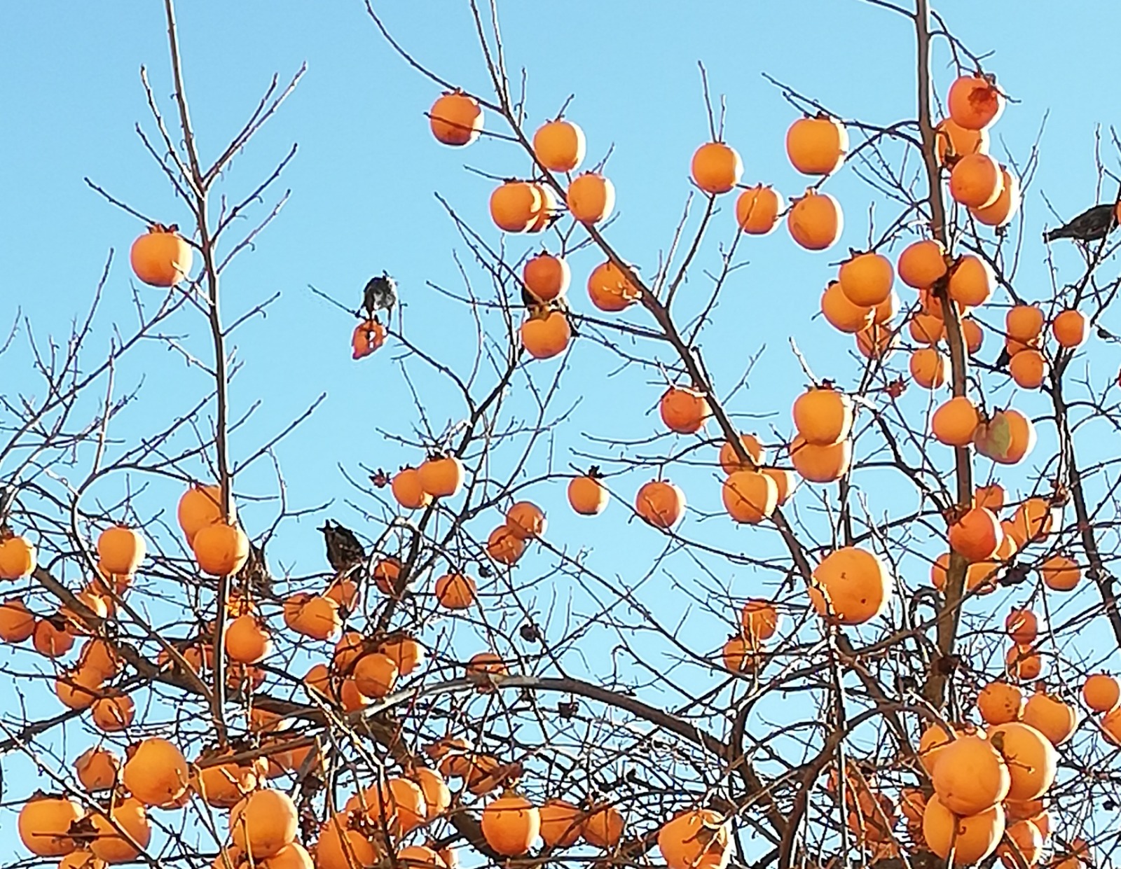 WhatsApp Image 2025 11 01 at 19.00.19