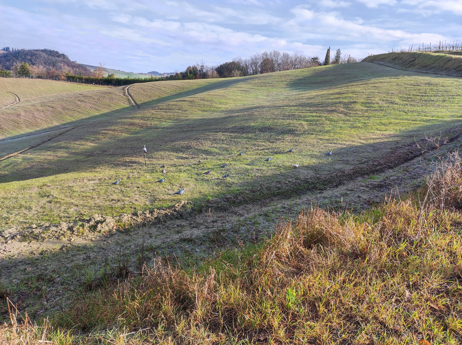 WhatsApp Image 2025 11 01 at 19.00.19 2