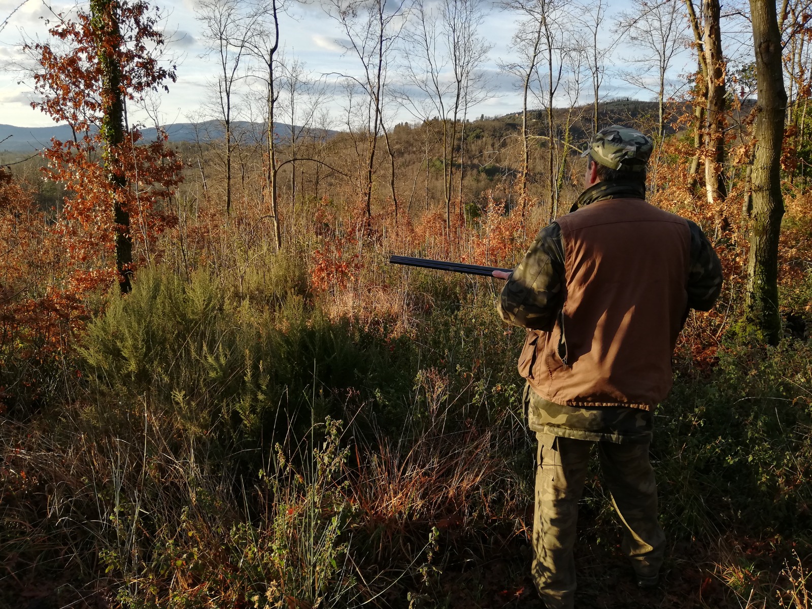 WhatsApp Image 2025 11 01 at 19.00.19 4