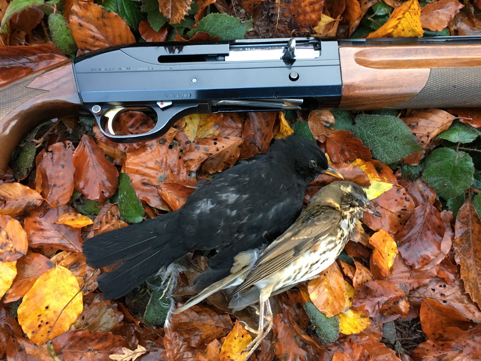 WhatsApp Image 2025 11 01 at 19.00.19 6