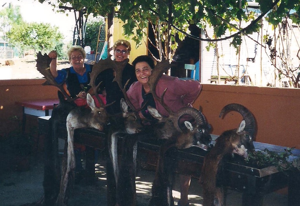 WhatsApp Image 2025 11 11 at 17.18.15 1