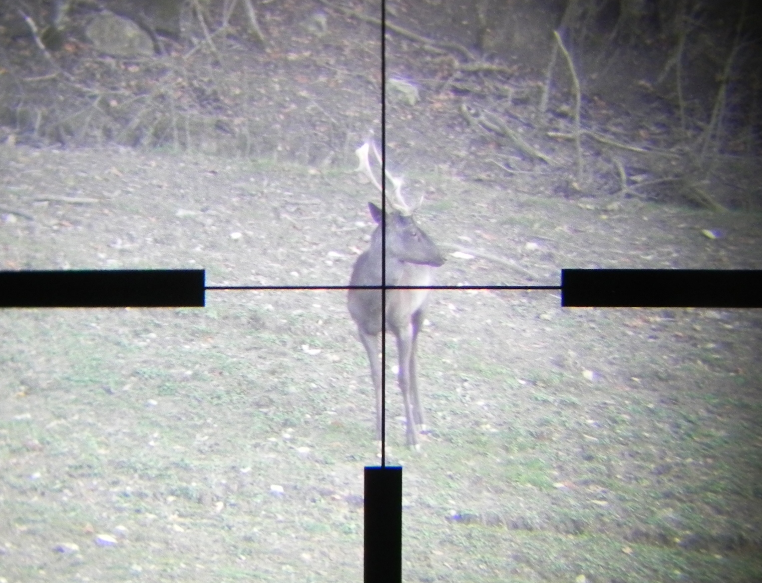 WhatsApp Image 2025 12 22 at 23.02.37