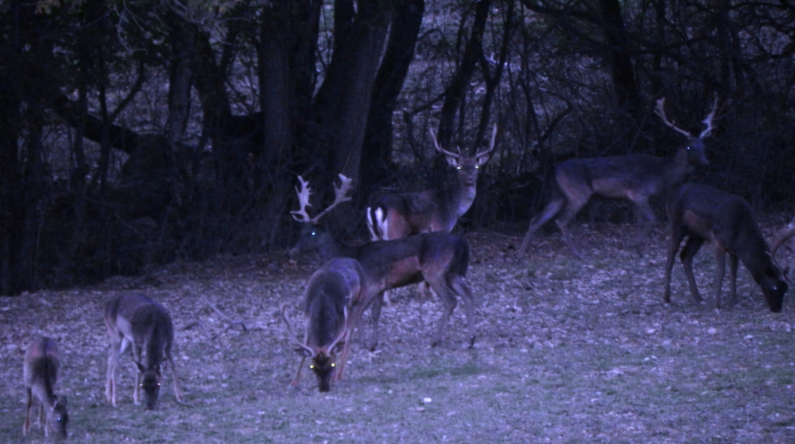 WhatsApp Image 2025 12 22 at 23.02.37 3