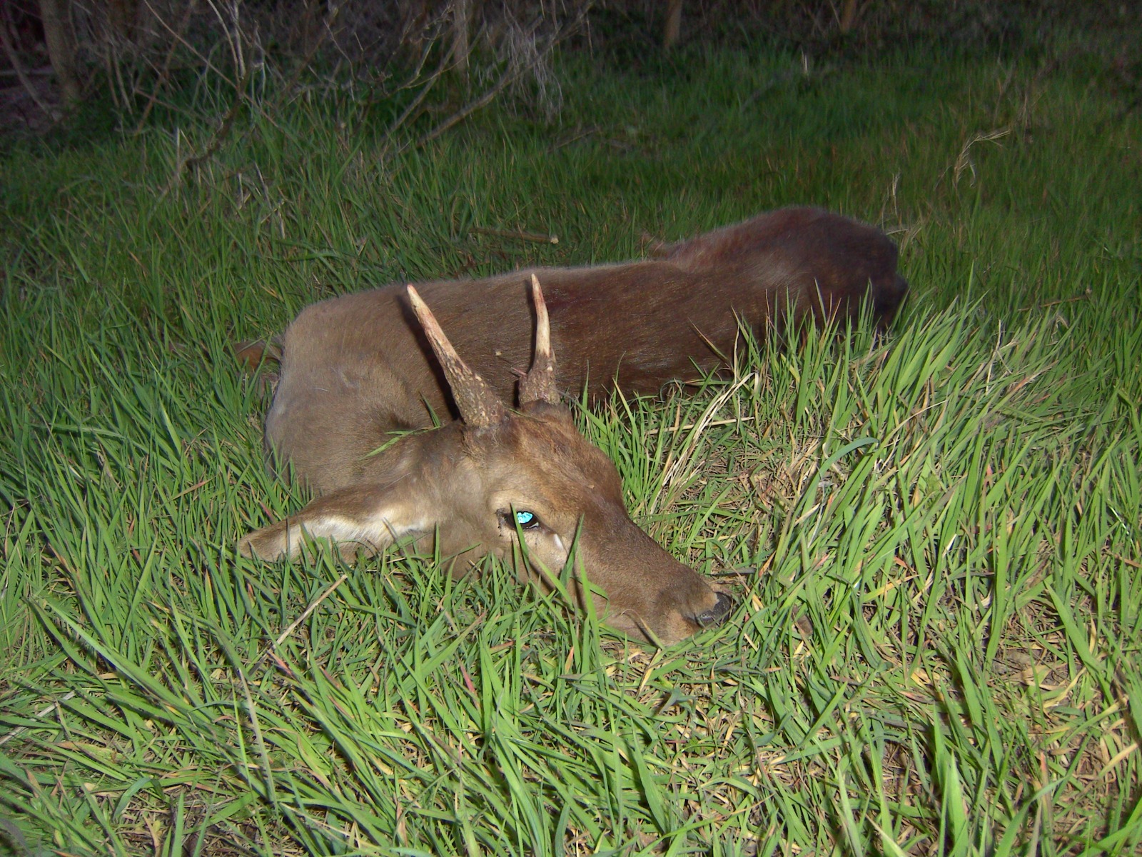 WhatsApp Image 2025 12 22 at 23.02.37 5