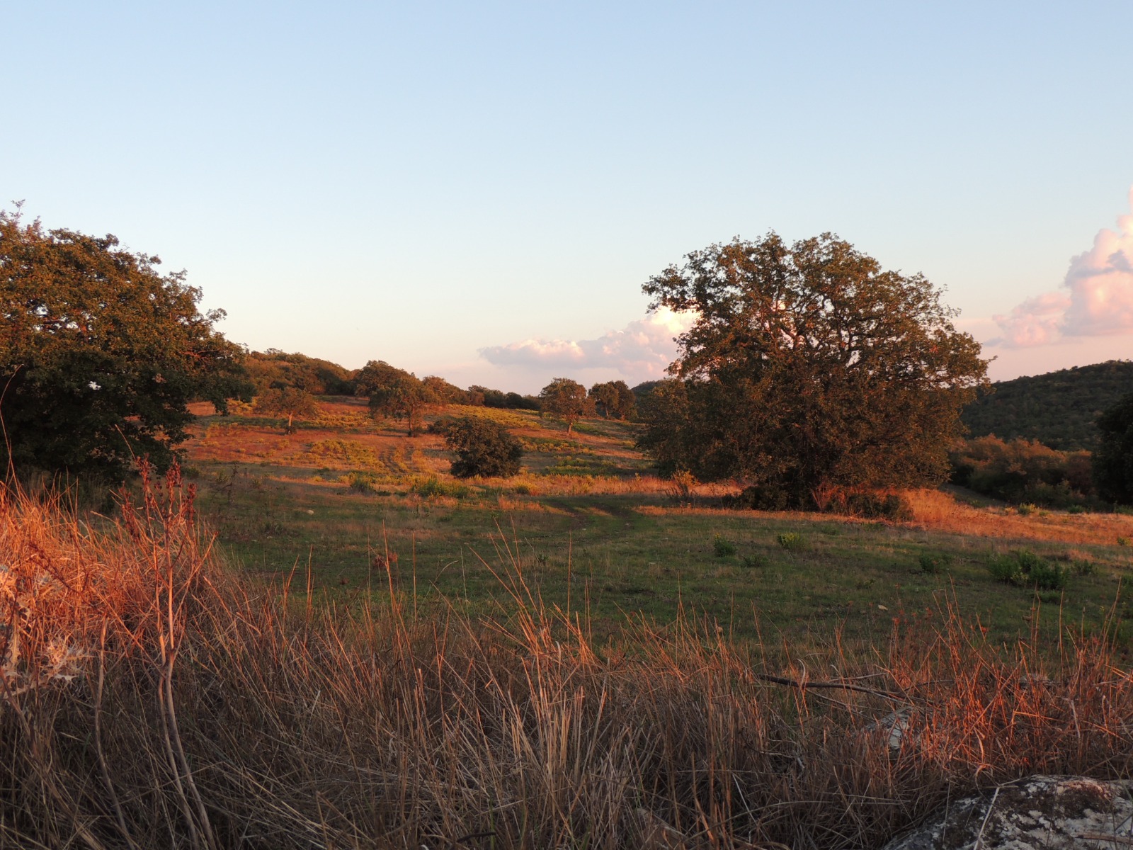 WhatsApp Image 2025 12 22 at 23.02.37 6