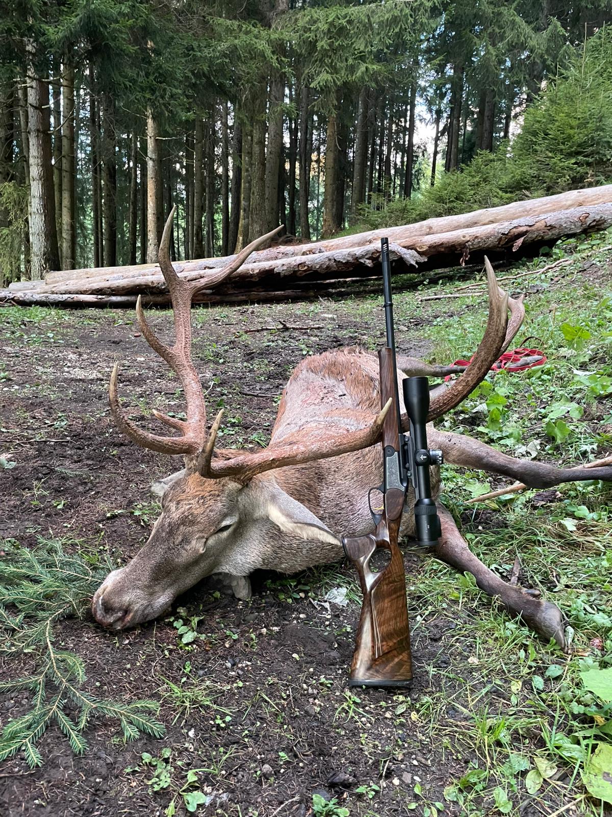 WhatsApp Image 2026 01 14 at 23.06.09 3