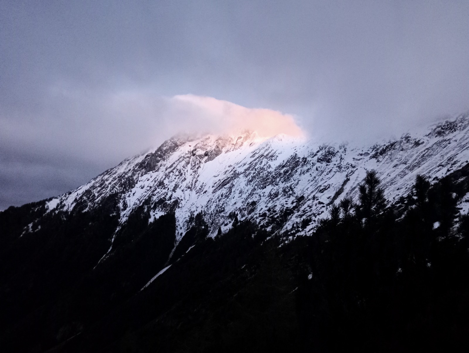 WhatsApp Image 2026 02 15 at 22.57.00 2