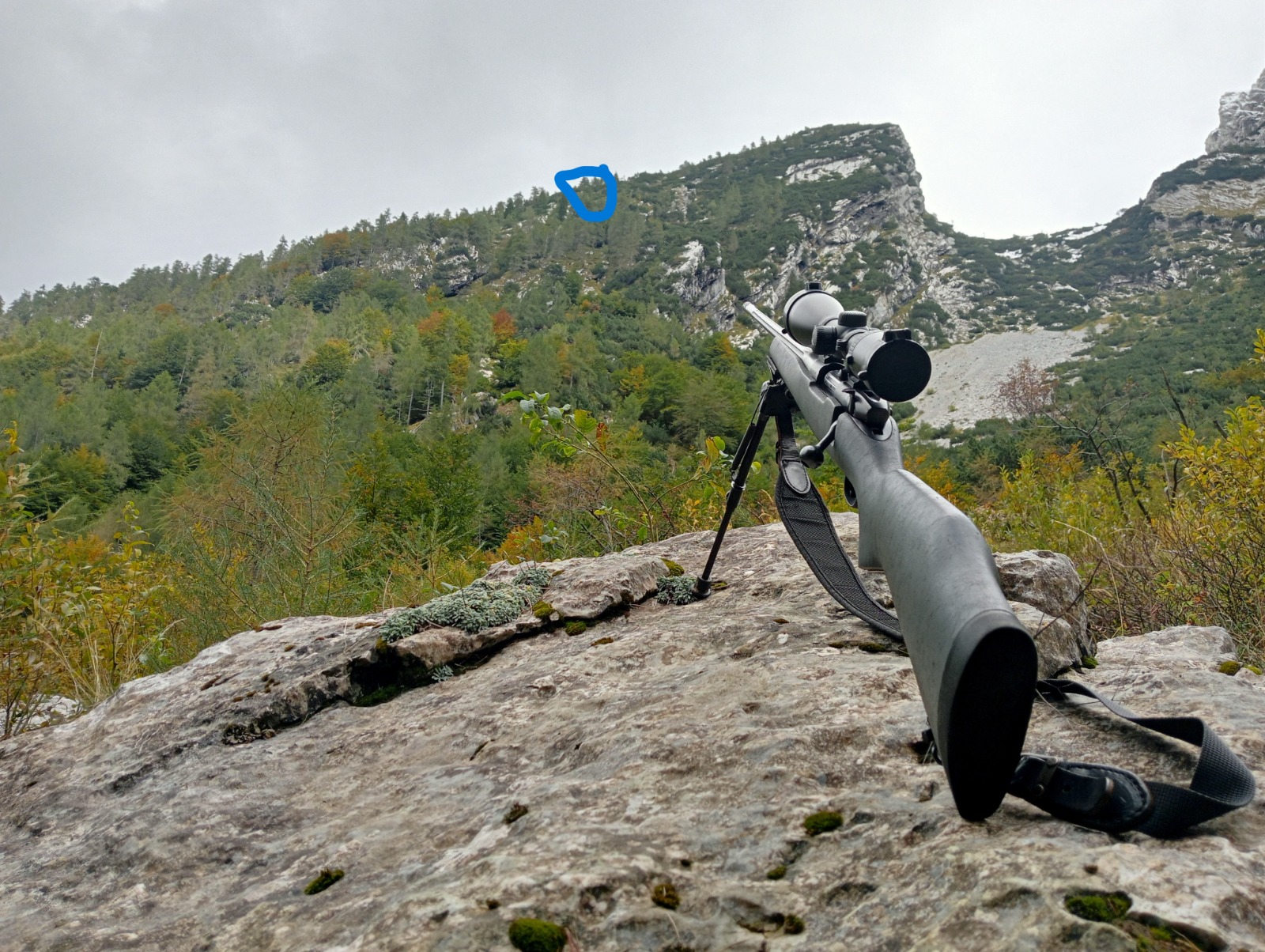 WhatsApp Image 2026 02 15 at 22.57.00 3