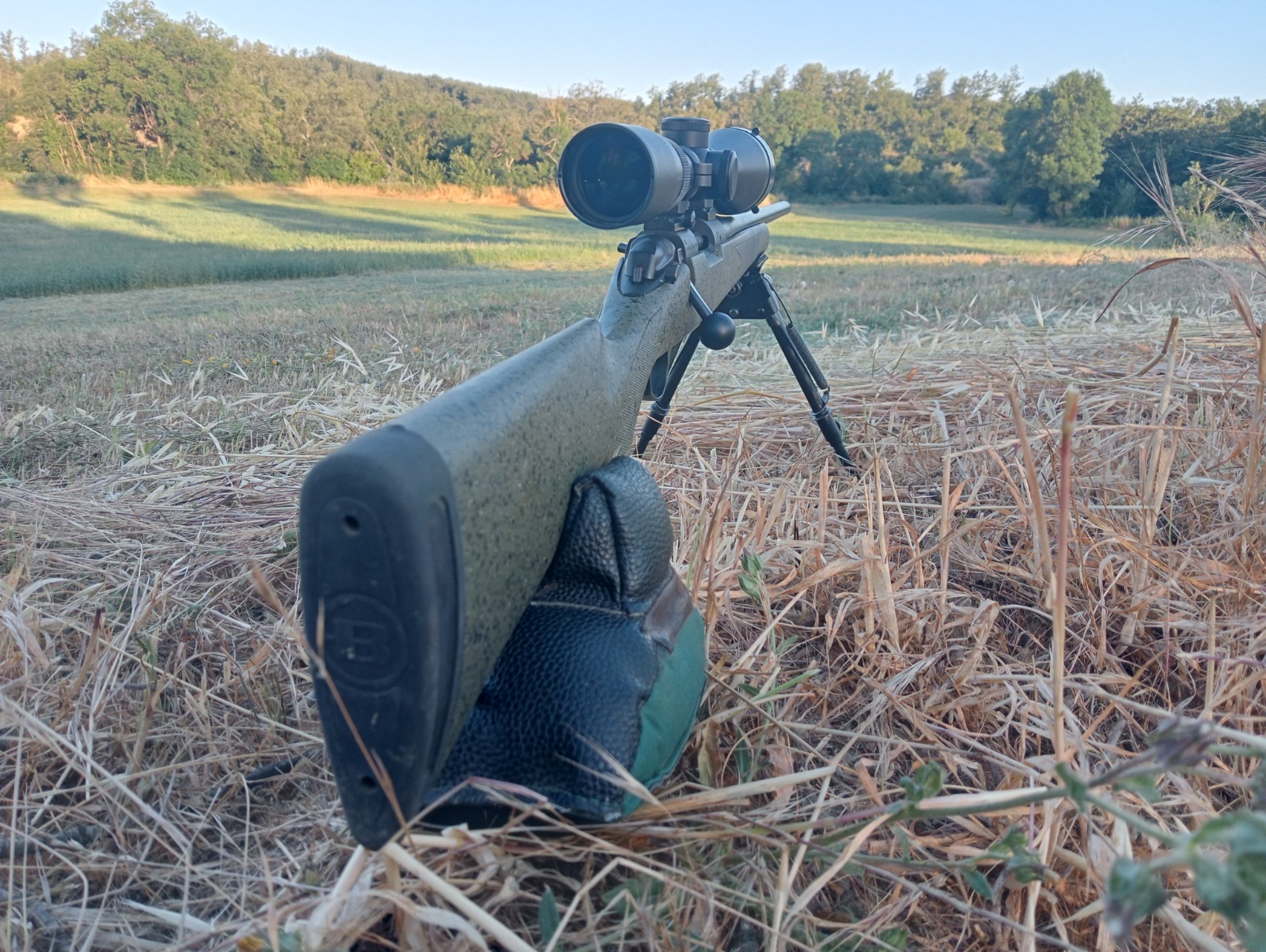 WhatsApp Image 2026 03 17 at 15.58.21