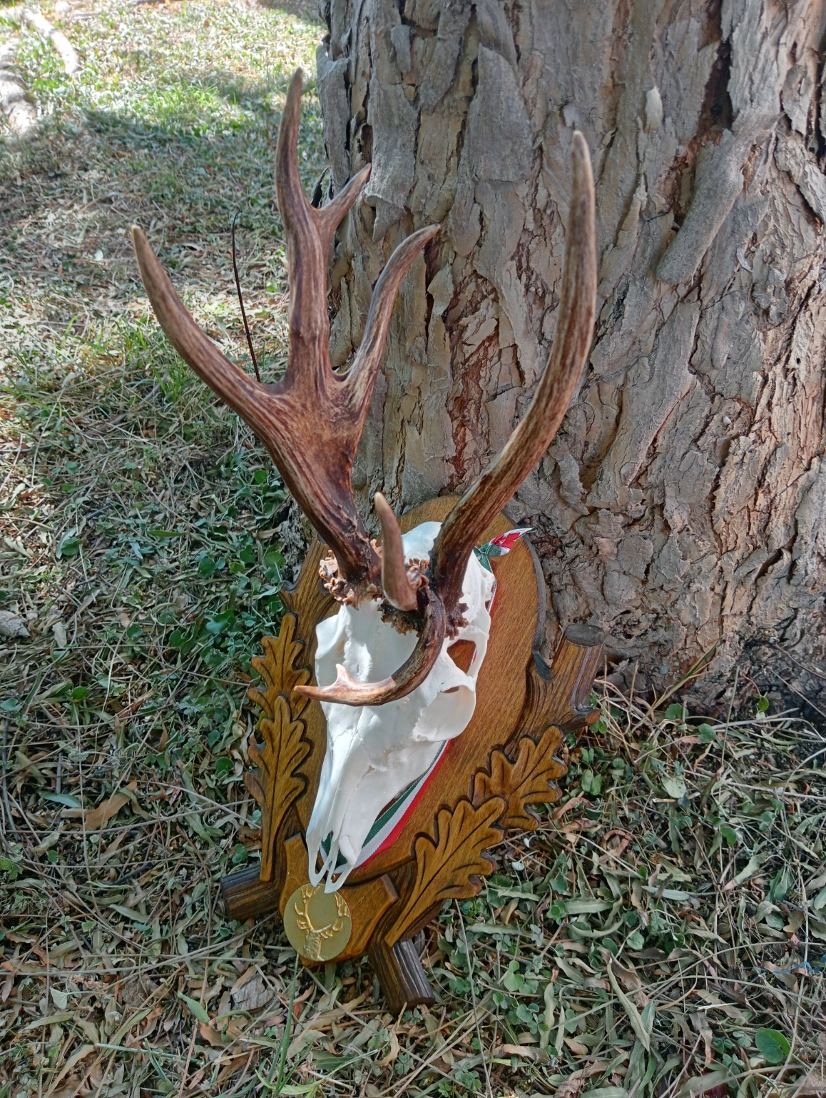 WhatsApp Image 2026 03 17 at 15.58.21 3