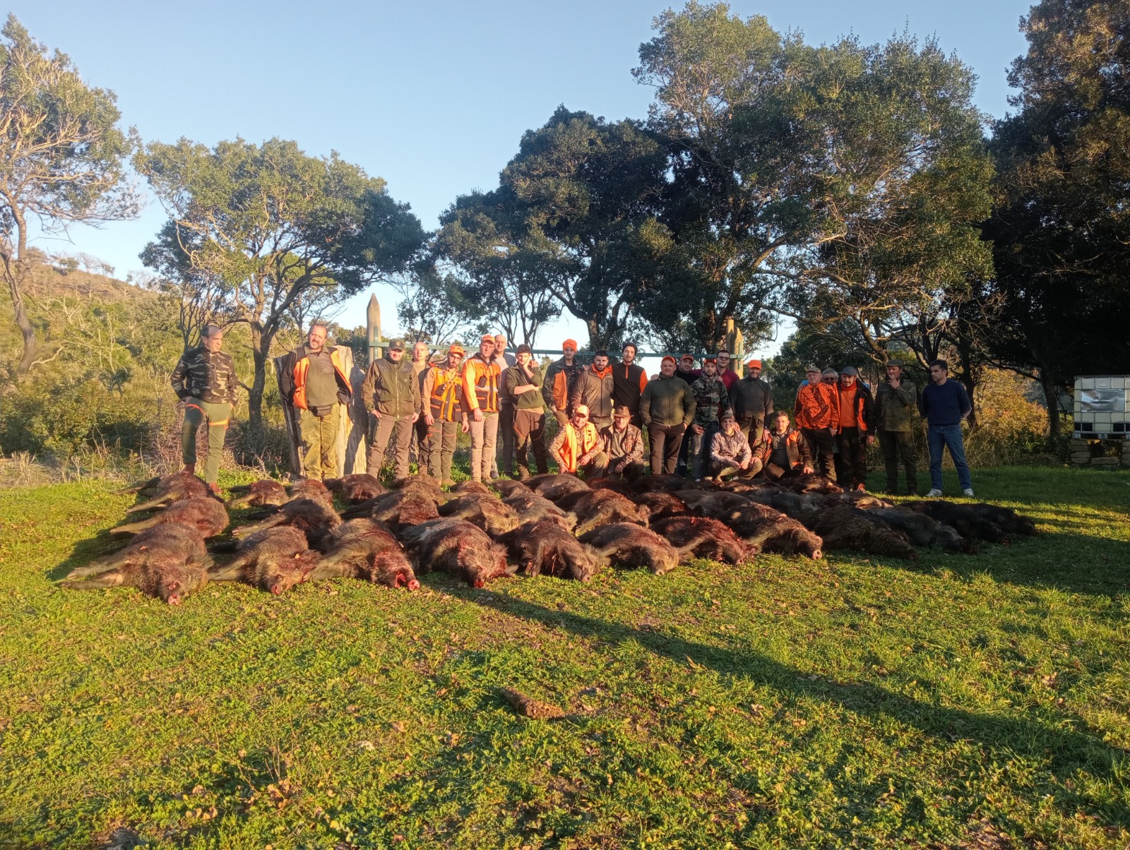 WhatsApp Image 2026 04 19 at 23.30.17