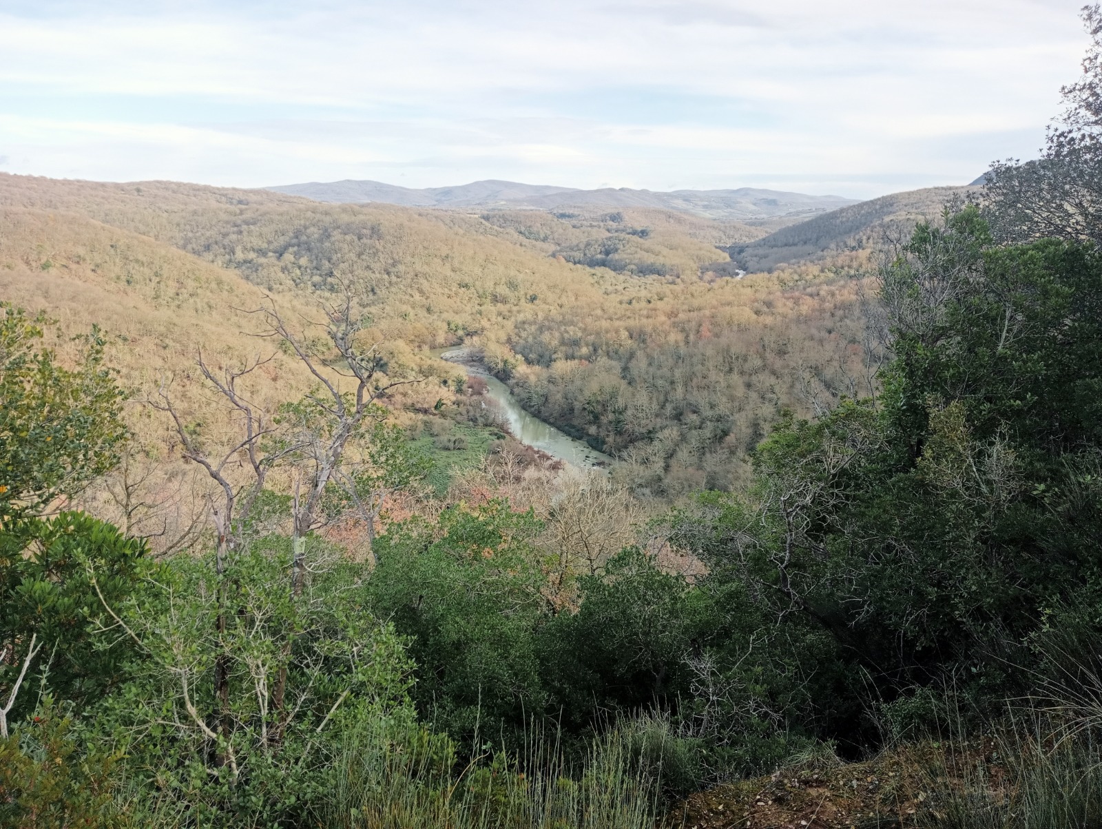 WhatsApp Image 2026 04 19 at 23.30.17 4