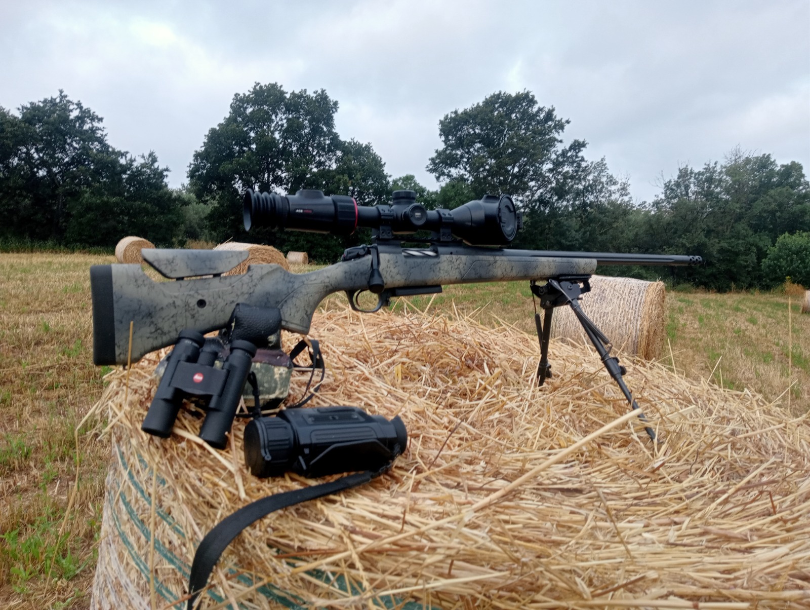 WhatsApp Image 2026 06 01 at 23.39.19 5
