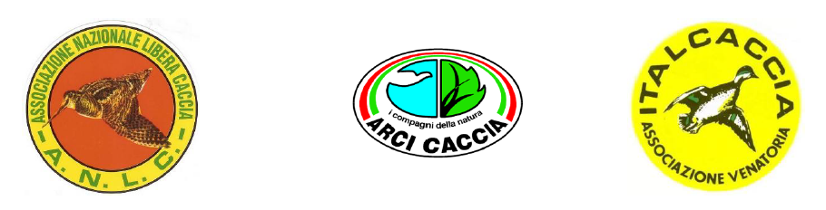 arci ital anlc