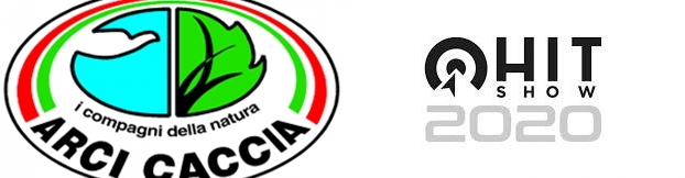 arcicacciahit