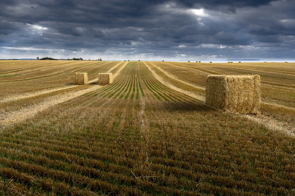 campagna