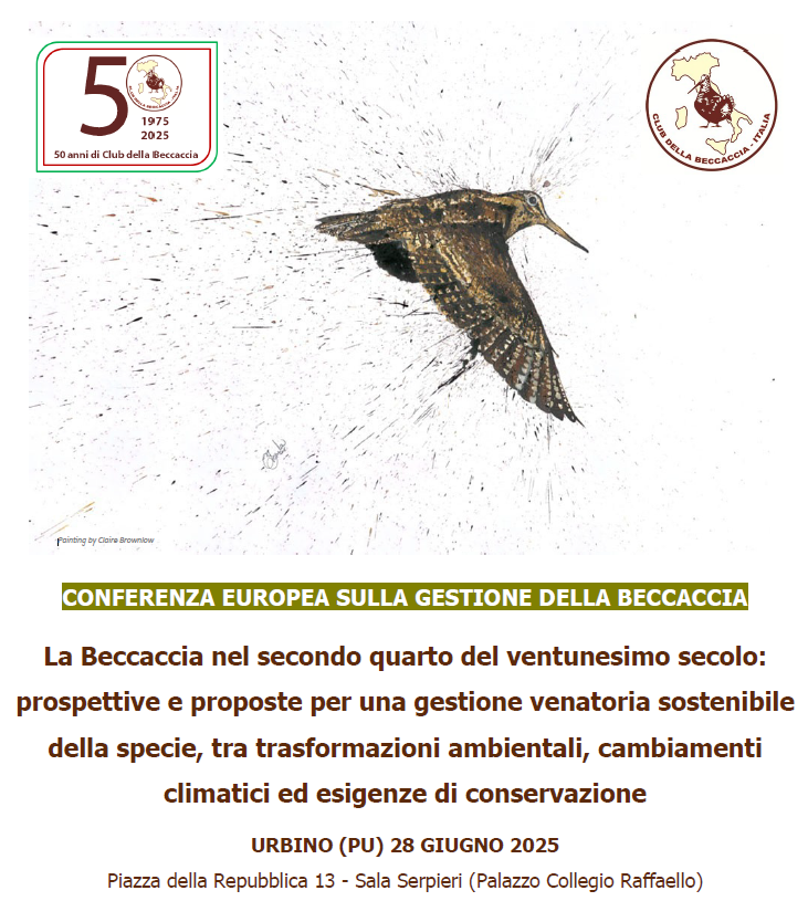 convegno beccaccia