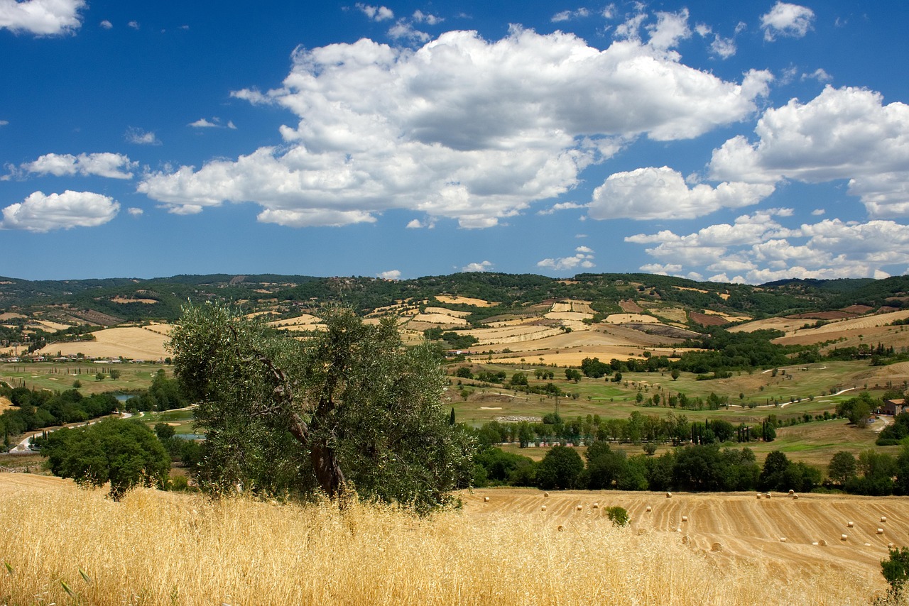 maremma