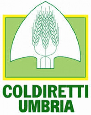 UMBRIA, L'ALLARME COLDIRETTI: ASSEDIATI DA CINGHIALI E LUPI