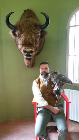 Tempo di Falconeria!