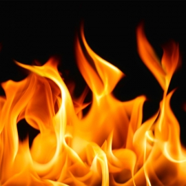 INCENDIO IN UN CAPANNO. MUOIONO 5 CANI DA CACCIA