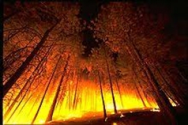 Varese: La Provincia chiude la caccia nelle aree contigue a quelle percorse da incendi