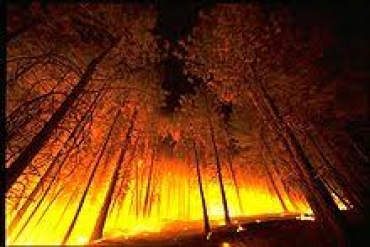 Varese: La Provincia chiude la caccia nelle aree contigue a quelle percorse da incendi