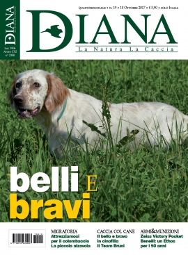 In Edicola Diana 19-2017
