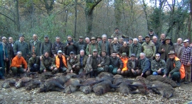 CACCIA CINGHIALE IN BATTUTA NELLA PRESTIGIOSA AZIENDA FAUNISTICA VENATORIA “I MONTI DI CASTRO”