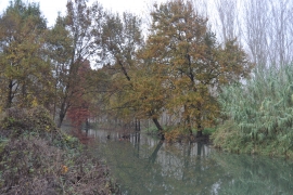 TOSCANA: IL PADULE DI FUCECCHIO E LE COLLINE DELLE CERBAIE AL CENTRO DI UN PIANO REGIONALE PER LA TUTELA E LA VALORIZZAZIONE DELLE RISORSE AMBIENTALI