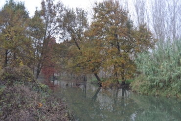 TOSCANA: IL PADULE DI FUCECCHIO E LE COLLINE DELLE CERBAIE AL CENTRO DI UN PIANO REGIONALE PER LA TUTELA E LA VALORIZZAZIONE DELLE RISORSE AMBIENTALI