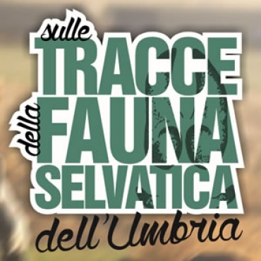Regione e ATC Perugia 2 portano gli studenti: "Sulle tracce della fauna selvatica dell'Umbria"