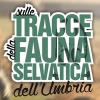 Regione e ATC Perugia 2 portano gli studenti: &quot;Sulle tracce della fauna selvatica dell&#039;Umbria&quot;